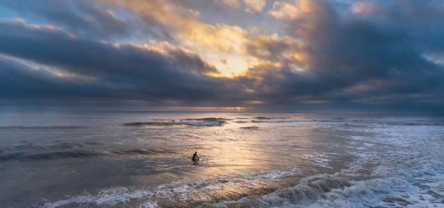 surfer at dawn